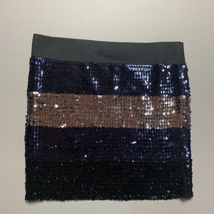 Sequin Skirt